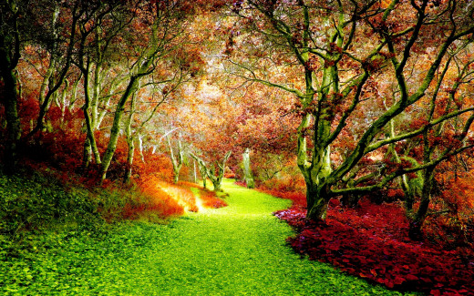 670441 (a): :1920x1200